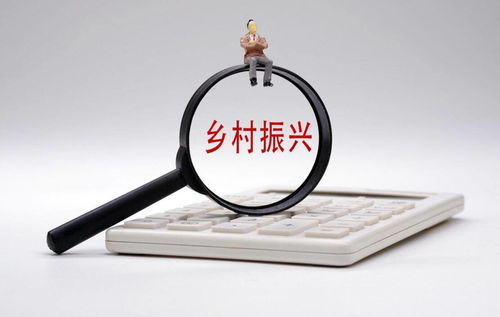 打通金融“最后一公里”，以多元服務賦能鄉村振興